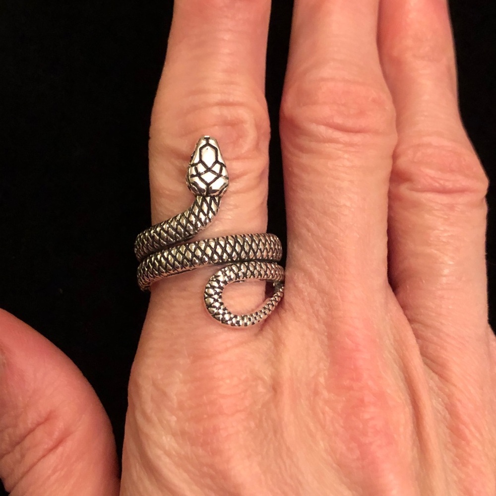Silver Tone Snake Ring